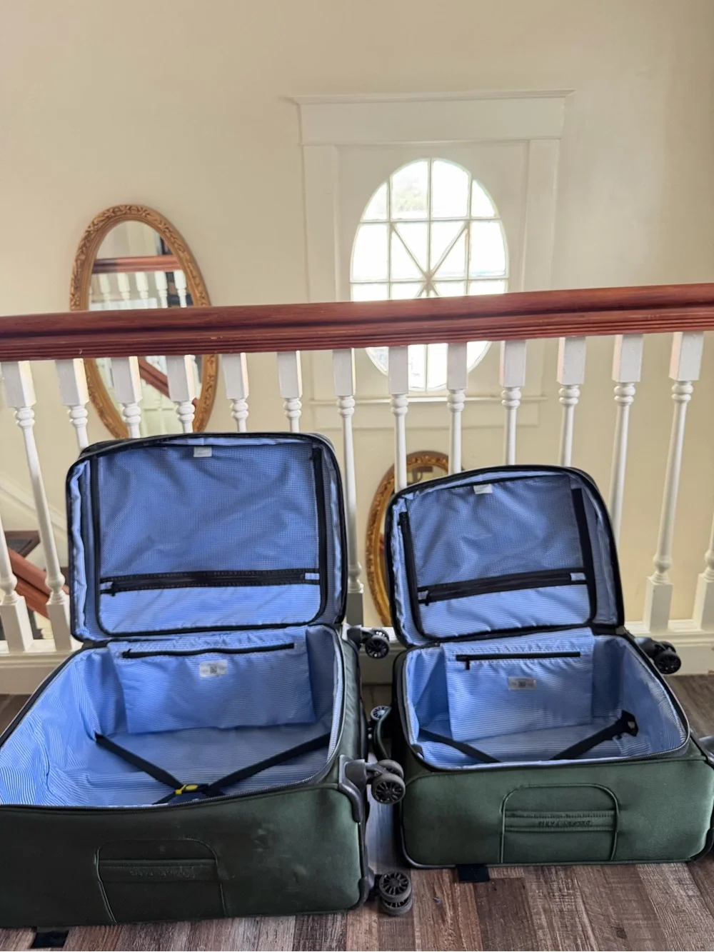 Delsey Paris Dark Green Medium Check-In and Carry-On Luggage